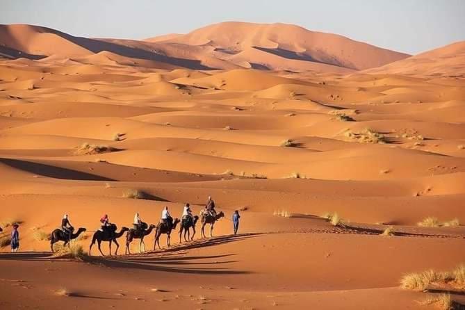 Merzouga Camel Trekking Camp Exterior photo